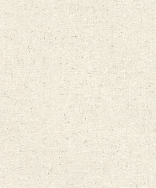 RASCH - Papier peint intissé Beltesto - Blanc cassé - L.10.05xl.53cm - large