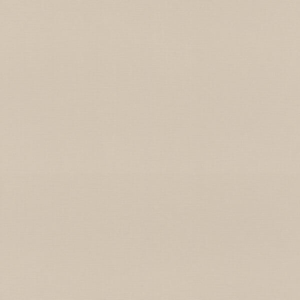 RASCH - Papier peint intissé Uni - Beige-taupe clair - L.53cmx10,05m - large