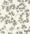 RASCH - Vgi motif albizia - vignette