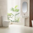 SWISS AQUA TECHNOLOGIES - Swiss Aqua Technologies Project cuvette WC à poser sans bride en céramique (réservoir non fourni), blanc (SATPRO31M) - vignette