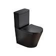 SWISS AQUA TECHNOLOGIES - Swiss Aqua Technologies Infinitio WC à poser complet en céramique avec abattant SoftClose, noir mat (SATINF031VPSNBKM) - vignette