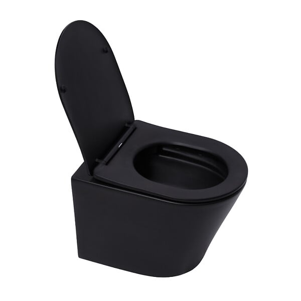 ROCA - Pack WC bâti-support + WC suspendu sans bride Swiss Aqua Technologies avec abattant SoftClose + plaque (ROSTINFBMR01-FR) - large