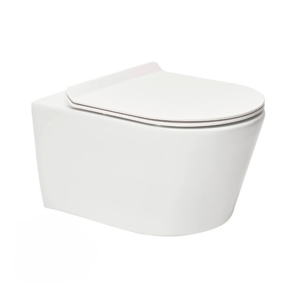 GROHE - Pack WC Rapid SL autoportant + WC sans bride SAT Brevis + Abattant ultra-fin SoftClose + Plaque blanche (ProjectBrevis-3-SP) - large