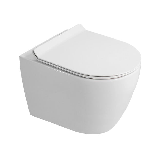 GEBERIT - Duofix Pack WC bâti-support 112 cm + WC suspendu sans bride Ceramia avec abattant SoftClose + plaque blanche (GEBCEPXWT02FR-FS) - large