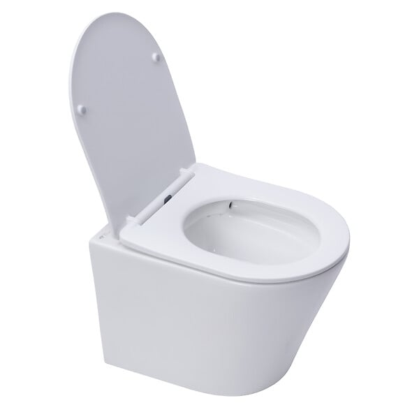 ROCA - Pack WC bâti-support + WC suspendu sans bride Swiss Aqua Technologies avec abattant SoftClose + plaque (ROSTINWR06-FR) - large