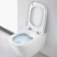 VILLEROY & BOCH - ViConnect Pro S pack WC bâti-support + WC suspendu sans bride Roca avec abattant SoftClose + plaque (VBROGAWR02-FR) - vignette