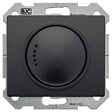 SIEMENS - Va et Vient Variateur 500W Anthracite Delta IRIS-SIEMENS - vignette