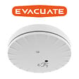 EVACUATE - EVACUATE Détecteur de fumée NF Slim avec support multi, autonomie et garantie 10 ans - vignette