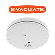 EVACUATE - EVACUATE Détecteur de fumée NF Slim autonomie et garantie 10 ans - vignette