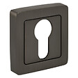 AYR - AYR Lot de 2 poignées MAXIM graphite mat + 2 rosaces cylindre graphite mat - vignette