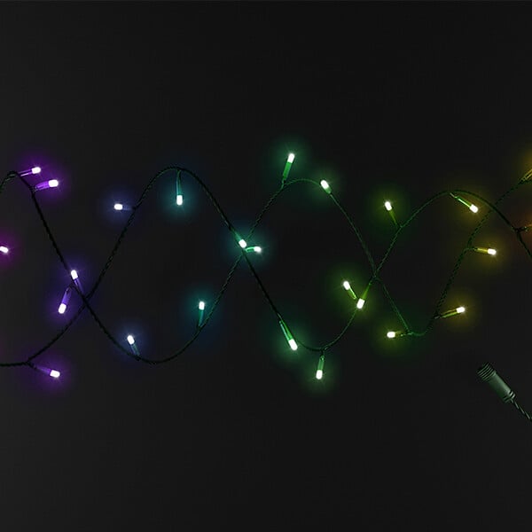 TWINKLY - Guirlande Connectée IP65 - 25m Fil Transparent | Étanche, Intelligente et Idéale pour l'Extérieur-TWINKLY - large