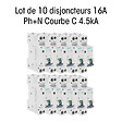 SIEMENS - Lot de 10 Disjoncteurs électriques phase + neutre 16A-SIEMENS - vignette