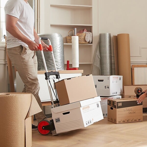 PACK AND MOVE - Pack and Move - Diable pliable en aluminium - 28 x 39 x 100 cm - 70 KG max - Pour déménagement et transport - large