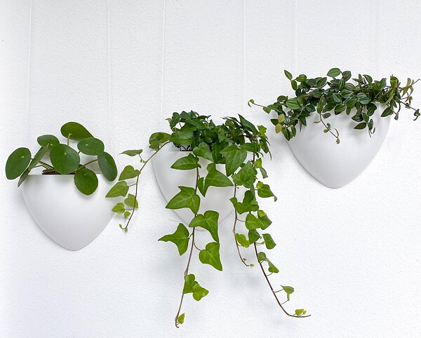 ARTITEQ - Kit complet avec cimaise Click Rail pour suspension deux cache-pots de fleurs Botaniq - Artiteq - large
