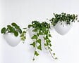 ARTITEQ - Kit complet avec cimaise Click Rail pour suspension deux cache-pots de fleurs Botaniq - Artiteq - vignette