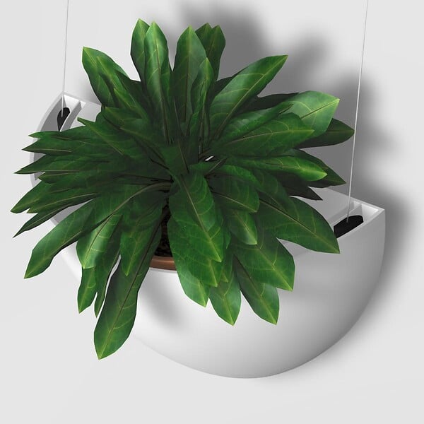 ARTITEQ - Kit complet avec cimaise Click Rail pour suspension deux cache-pots de fleurs Botaniq - Artiteq - large