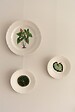 ARTITEQ - Crochet porte assiette 18 -25 cm - accrochage assiette au mur - vignette