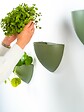 ARTITEQ - Kit Cache-pot de fleurs suspendu vert - suspension de Jardinière Botaniq Artiteq - vignette