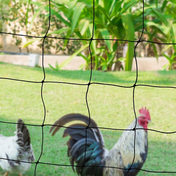 ID MARKET - Kit clôture filet à poules 50 M avec porte 15 piquets double pointe - large
