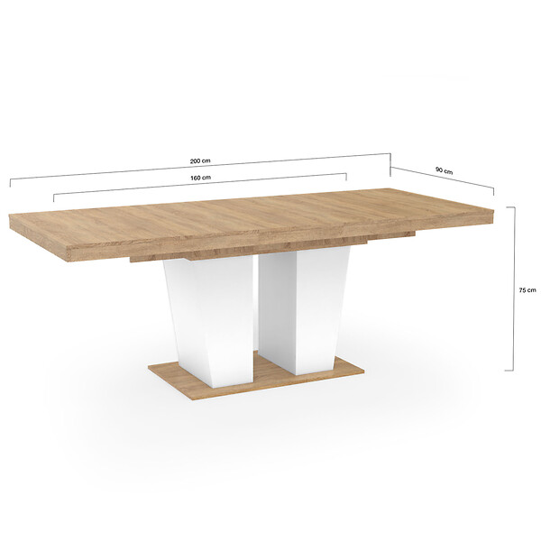 ID MARKET - Table à manger extensible rectangle ELIAD 6-10 personnes bois et blanc 160-200 cm - large