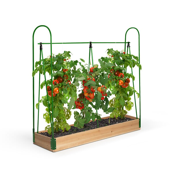 ID MARKET - Serre à tomates spéciale croissance kit complet bâche + support - large