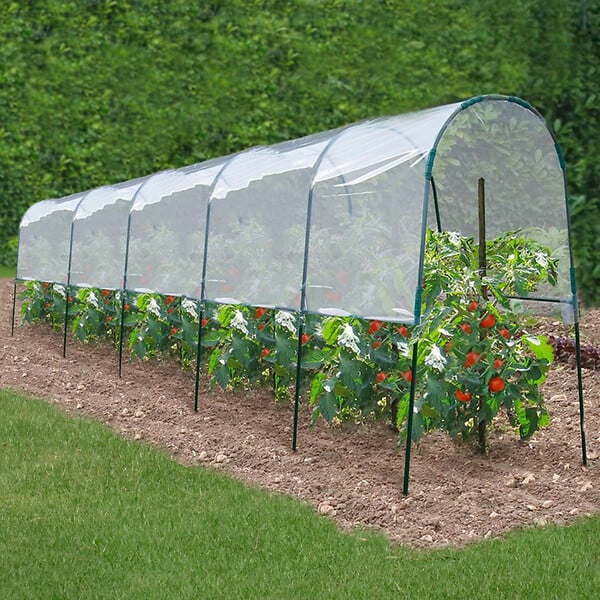 ID MARKET - Serre à tomates 2 M - large