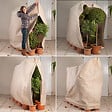 ID MARKET - Housse d'hivernage pour plante et arbuste 120 x 180 cm - vignette