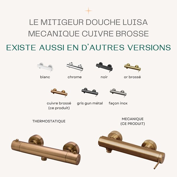 ESSEBAGNO - Luisa mitigeur douche mécanique cuivre brossé - large
