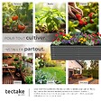 TECTAKE - Bac à fleurs surélevé stable en acier galvanisé gris anthracite bords arrondis 200 x 80 x 62 cm 970 l gants compris - vignette