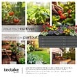 TECTAKE - Jardinière surélevée en acier galvanisé gris 120x60x30cm potager carré bac plantation légumes herbes aromatiques fleurs ergonomique 200L - vignette