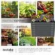 TECTAKE - Bac potager surélevé en acier galvanisé 80x80x62cm 380L gris fond ouvert hauteur ergonomique herbes légumes fleurs gants jardinage inclus - vignette
