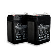 SCS SENTINEL - Kit de 2 batteries de secours batterygate 2 - vignette