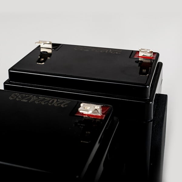 SCS SENTINEL - Kit de 2 batteries de secours batterygate 2 - large
