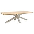 HESPERIDE - Table de jardin 10 places Oraclion marron - vignette