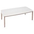 HESPERIDE - Table de jardin Nelora 8 places 100x210cm beige - vignette