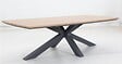 HESPERIDE - Table de jardin 10 places Oraclion marron - vignette
