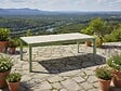HESPERIDE - Table de jardin rectangulaire extensible alu Evasion 8/10 places effet bois et vert laurier - Hespéride - vignette