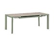 HESPERIDE - Table de jardin rectangulaire extensible alu Evasion 8/10 places effet bois et vert laurier - Hespéride - vignette