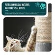 VOUNOT - Arbre a chat 112cm multi niveaux Griffoir et niche Gris - vignette