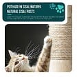 VOUNOT - Arbre a chat 112cm multi niveaux Griffoir et niche Beige - vignette