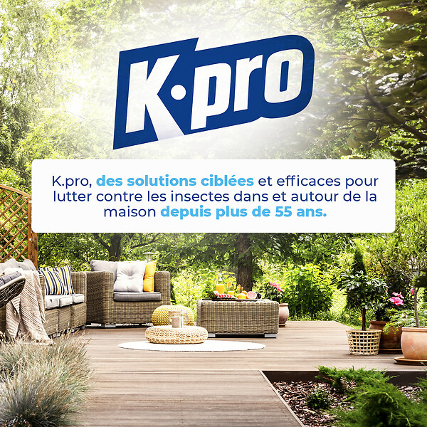 KAPO - Gel appât anti-fourmis - Usage intérieur et extérieur - 15g - large