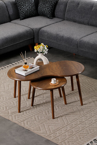 HABITAT ET JARDIN - Ensemble de table basse en bois "Marlo" 100 x 50 x 45 cm - Noyer - large