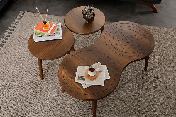 HABITAT ET JARDIN - Ensemble de table basse en bois "Marlo" 100 x 50 x 45 cm - Noyer - large