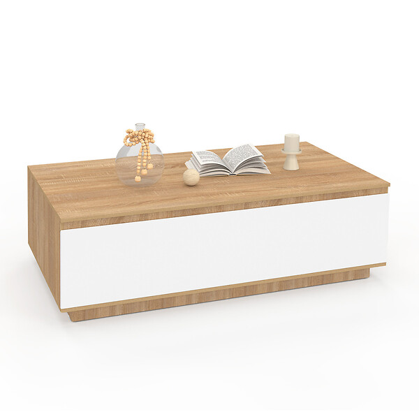 ID MARKET - Table basse TOMI 110 cm avec porte façon hêtre et blanc - large