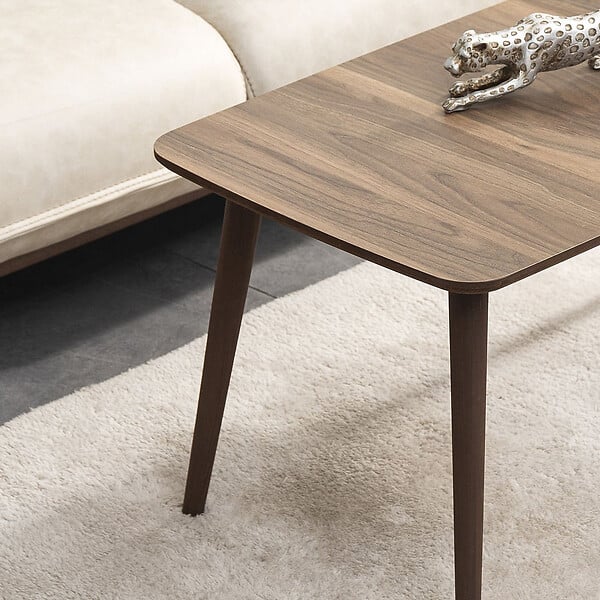 HABITAT ET JARDIN - Table basse en bois "Luci" 100 x 53 x 45 cm - Noyer - large