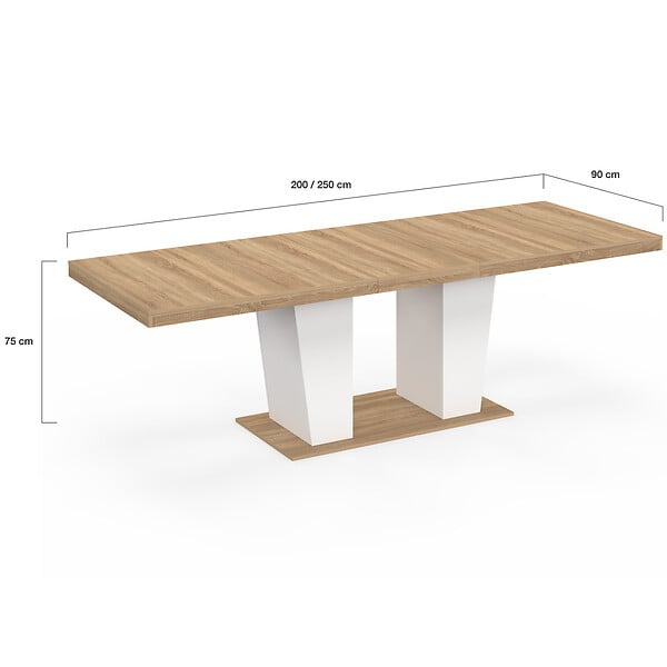ID MARKET - Table à manger extensible rectangle ELIAD 8-12 personnes bois et blanc 200-250 cm - large