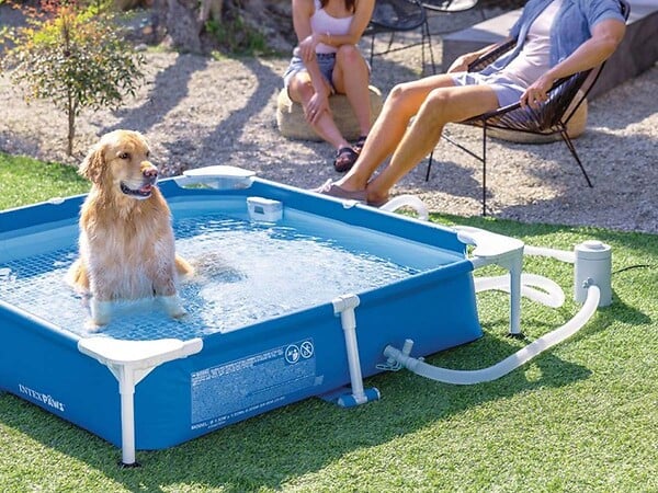 INTEX - Piscine tubulaire carrée pour animaux - Intex - large