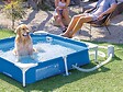 INTEX - Piscine tubulaire carrée pour animaux - Intex - vignette
