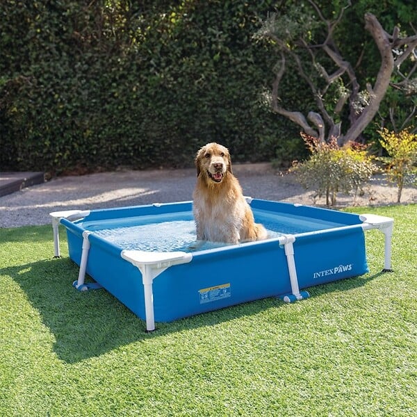 INTEX - Piscine tubulaire carrée pour animaux - Intex - large