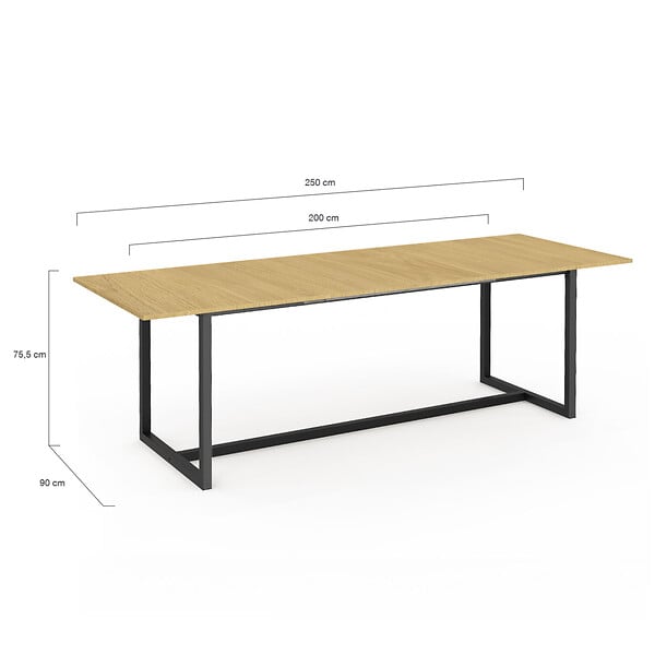 ID MARKET - Table à manger extensible rectangle DETROIT 8-12 personnes design industriel 200-250 cm - large